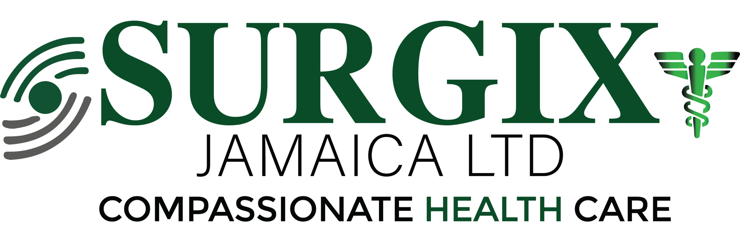 SURGIX LOGO